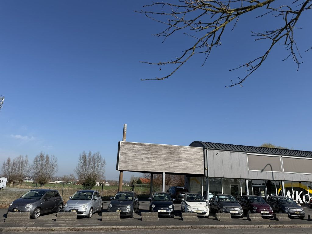 8 stuks op stock van de Fiat 500 in benzine